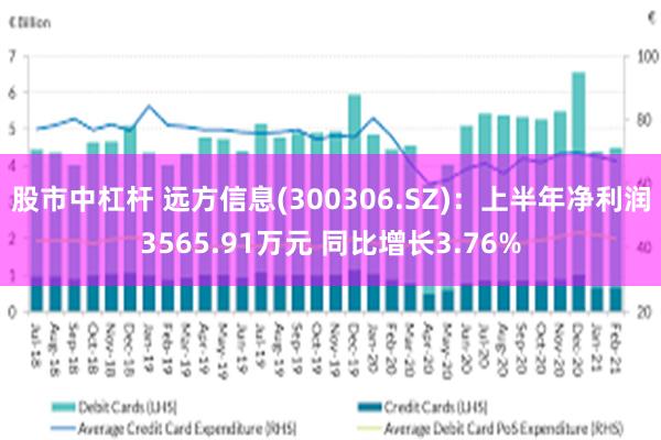 股市中杠杆 远方信息(300306.SZ)：上半年净利润3565.91万元 同比增长3.76%