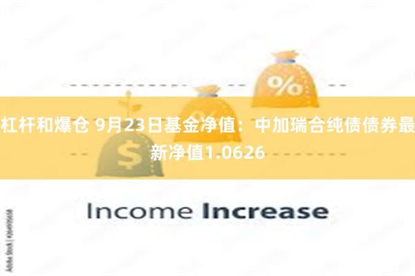 杠杆和爆仓 9月23日基金净值：中加瑞合纯债债券最新净值1.0626