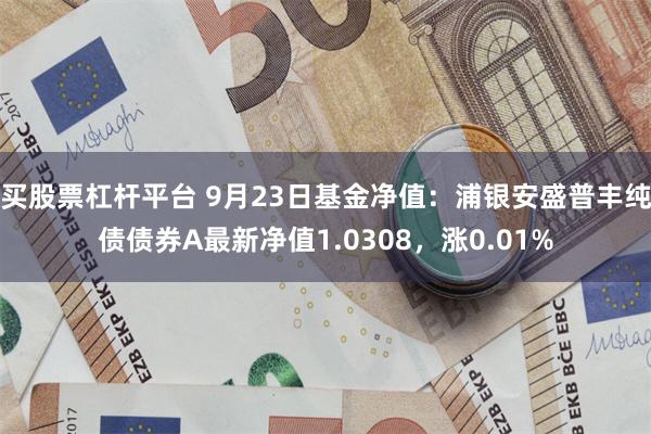 买股票杠杆平台 9月23日基金净值：浦银安盛普丰纯债债券A最新净值1.0308，涨0.01%