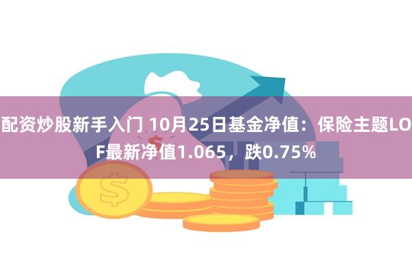 配资炒股新手入门 10月25日基金净值：保险主题LOF最新净值1.065，跌0.75%