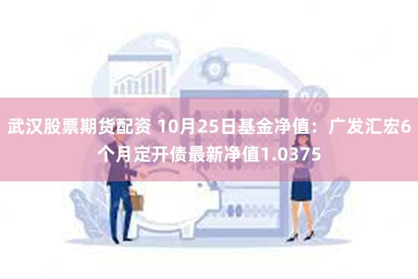 武汉股票期货配资 10月25日基金净值：广发汇宏6个月定开债最新净值1.0375