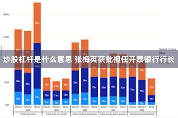 炒股杠杆是什么意思 张梅英获批担任开泰银行行长