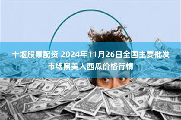 十堰股票配资 2024年11月26日全国主要批发市场黑美人西瓜价格行情