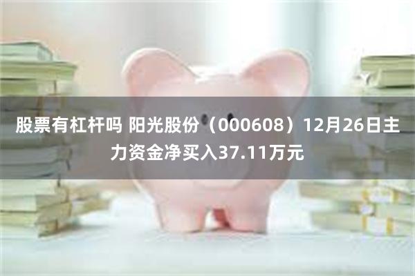 股票有杠杆吗 阳光股份（000608）12月26日主力资金净买入37.11万元