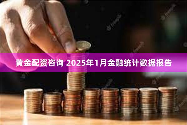 黄金配资咨询 2025年1月金融统计数据报告