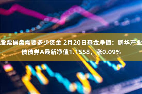 股票操盘需要多少资金 2月20日基金净值：鹏华产业债债券A最新净值1.1558，涨0.09%